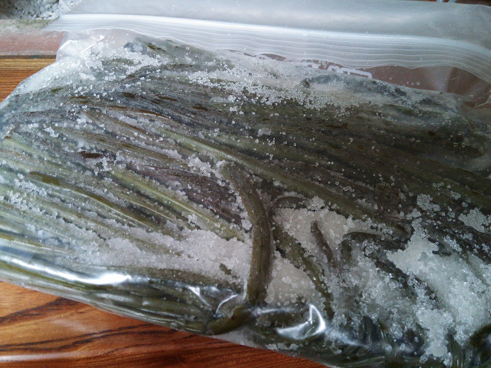 塩漬け ワラビ 里山便り: わらびの塩漬け保存