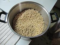 大豆を水に浸ける