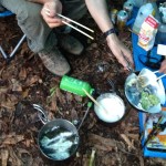 山菜の天ぷらを揚げる