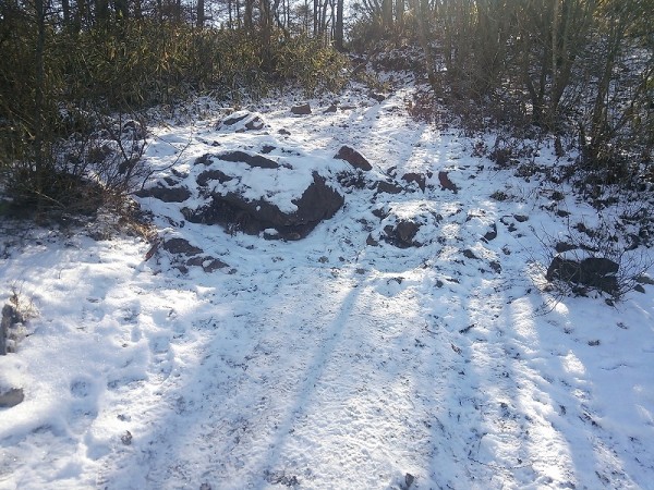 北側の登山道には雪が残っていました