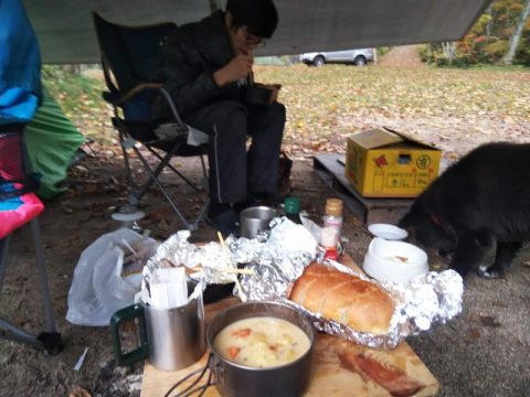 キャンプの朝食