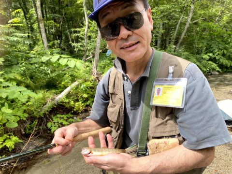 テンカラで釣れた岩魚