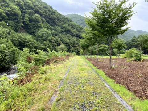 檜枝岐川沿いの遊歩道
