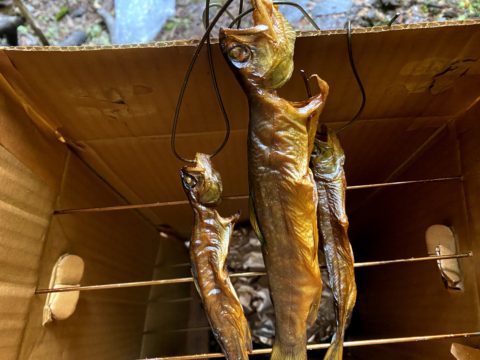 岩魚の燻製