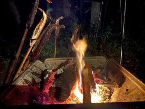 焚き火で岩魚を焼く